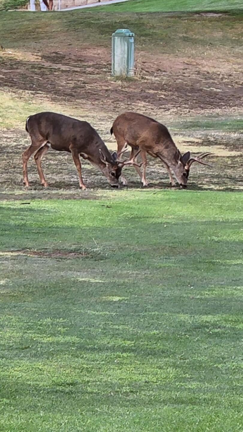 (Photo submitted by u000001364503 on 08/18/2022)