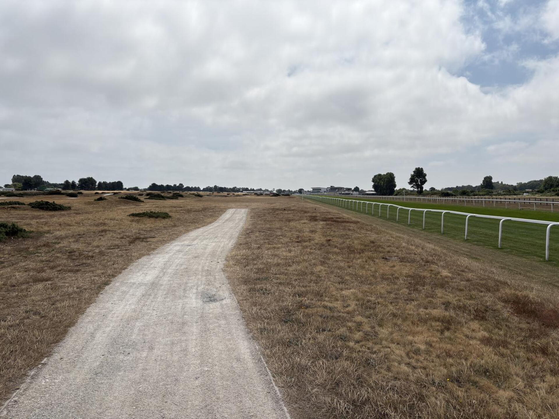 Looking down Great Yarmouth 8 Furlongs Straight. (Photo submitted by StevieB13147 on 07/16/2026)