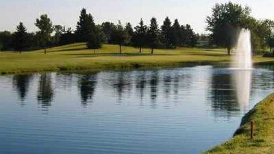 Purple Hawk CC: #13