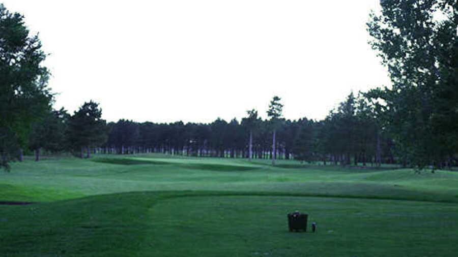 Perham Lakeside CC - Pine: #6