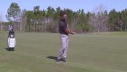 Two Different Chip Shots