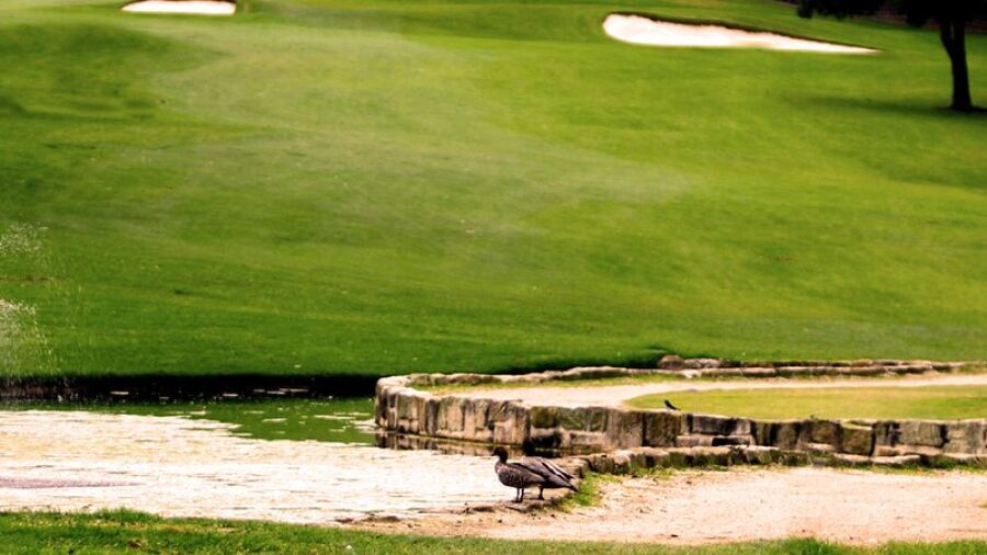 Muirfield GC: #17