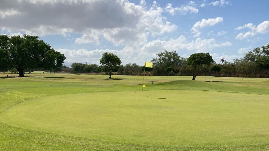 Ted Makalena GC