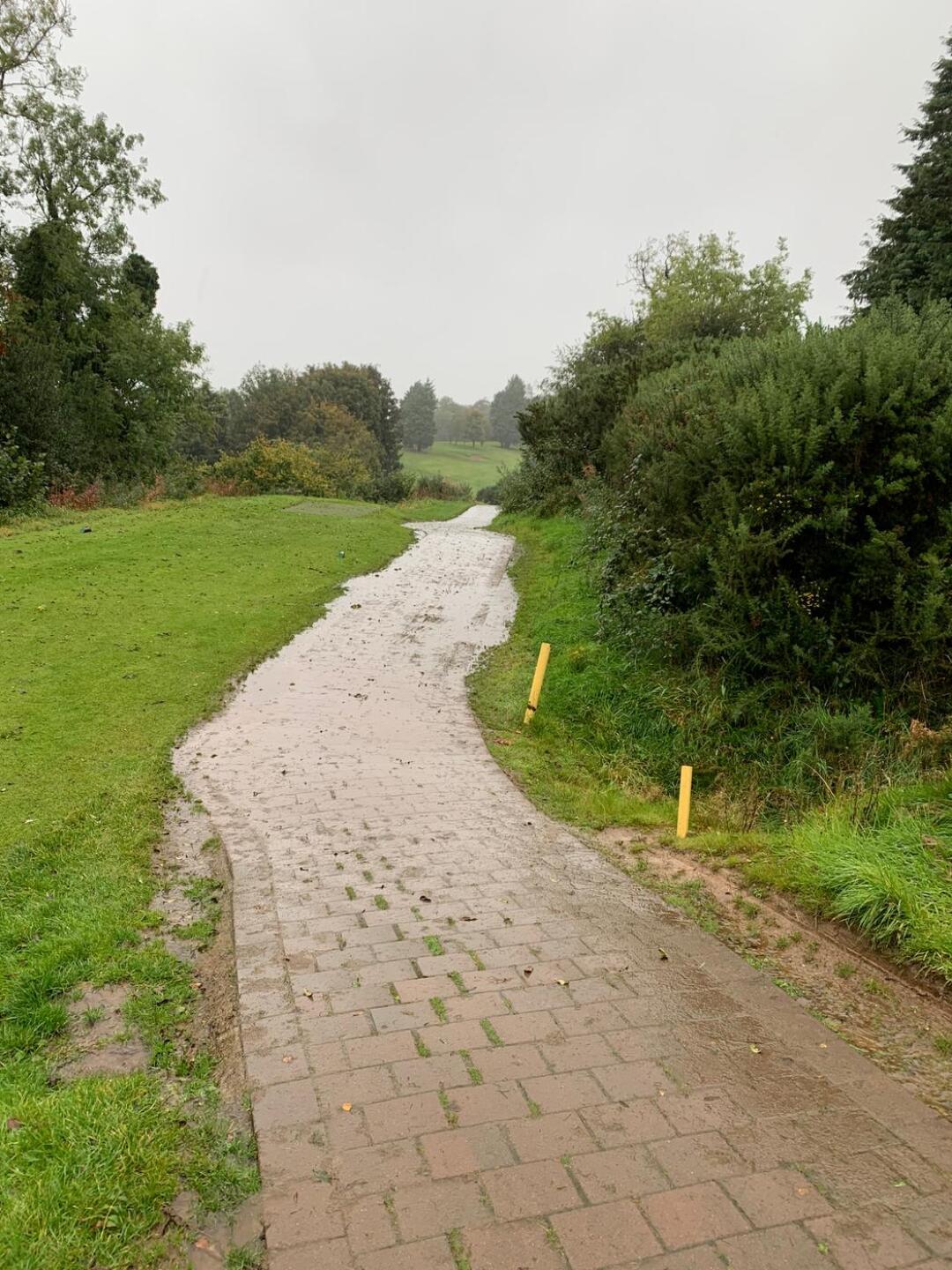 (Photo submitted by u314160743033 on 10/04/2020)