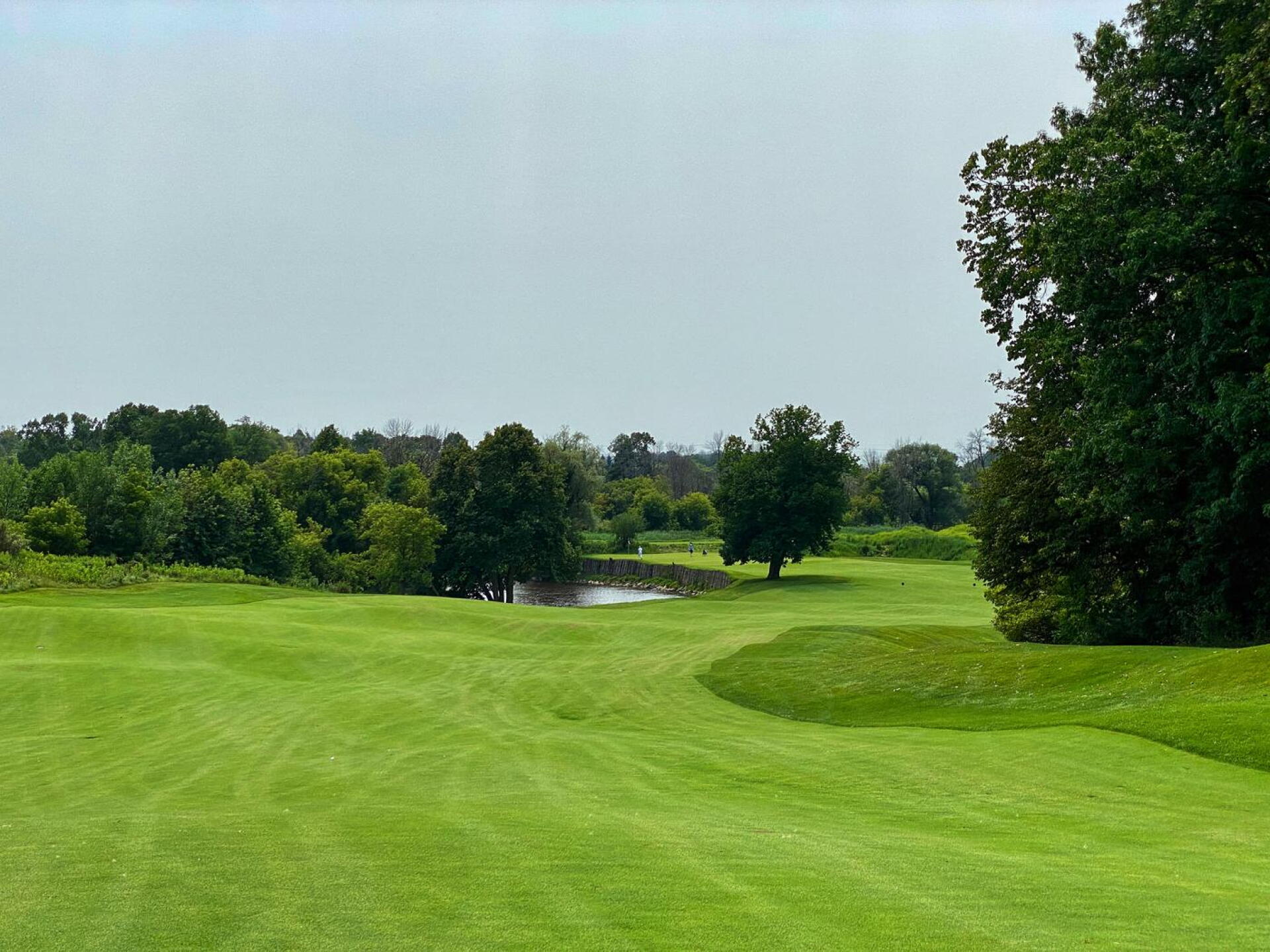 Blackwolf Run - River, hole 16 (Photo submitted by TimGavrichGP on 08/03/2021)
