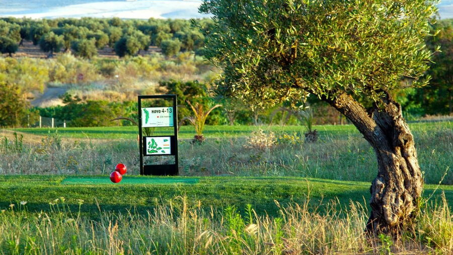 Quinto Coto GC: #4