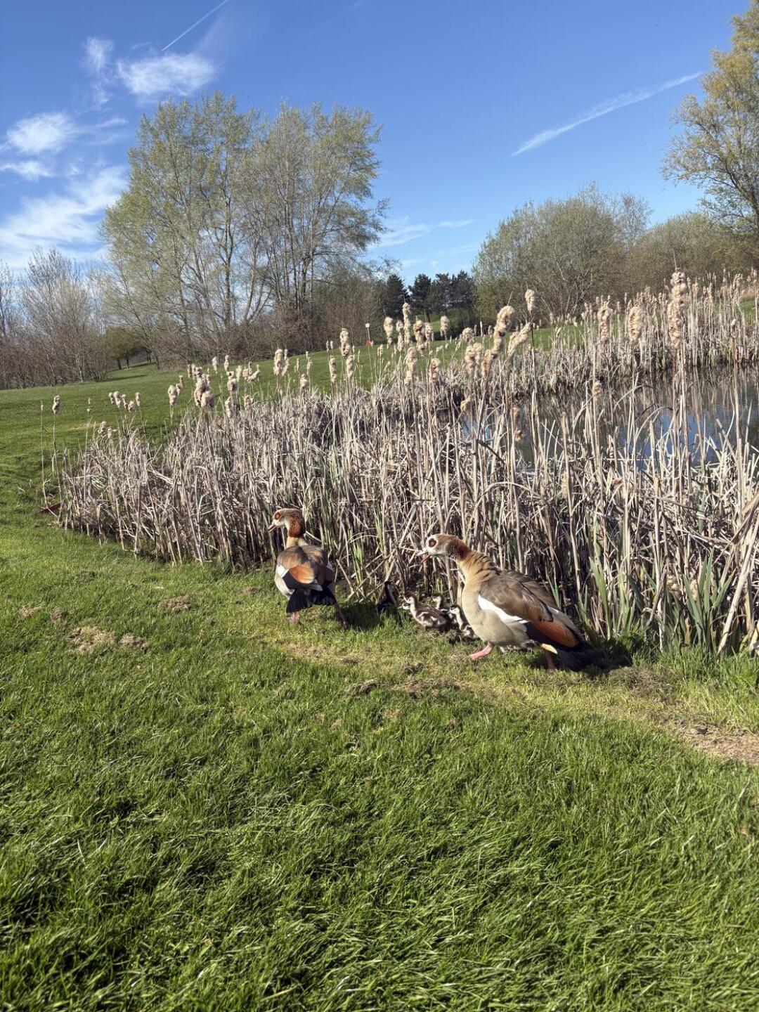 (Photo submitted by u044816311 on 04/07/2026)