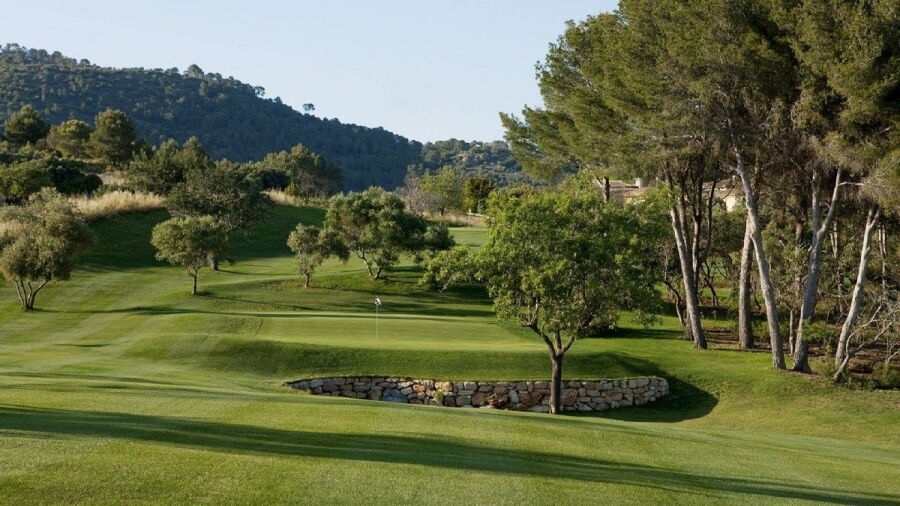 Son Quint GC - Executive