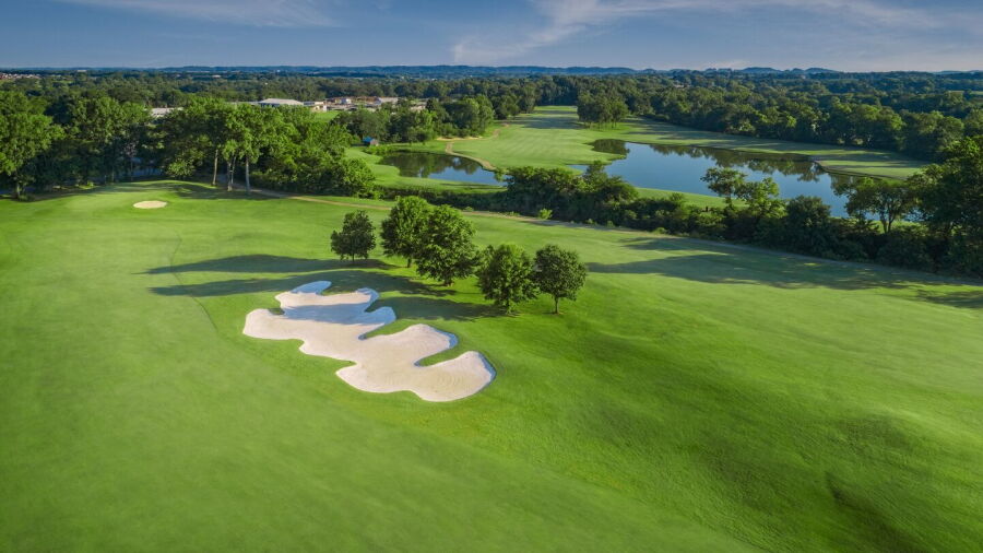 Towhee Club: #11