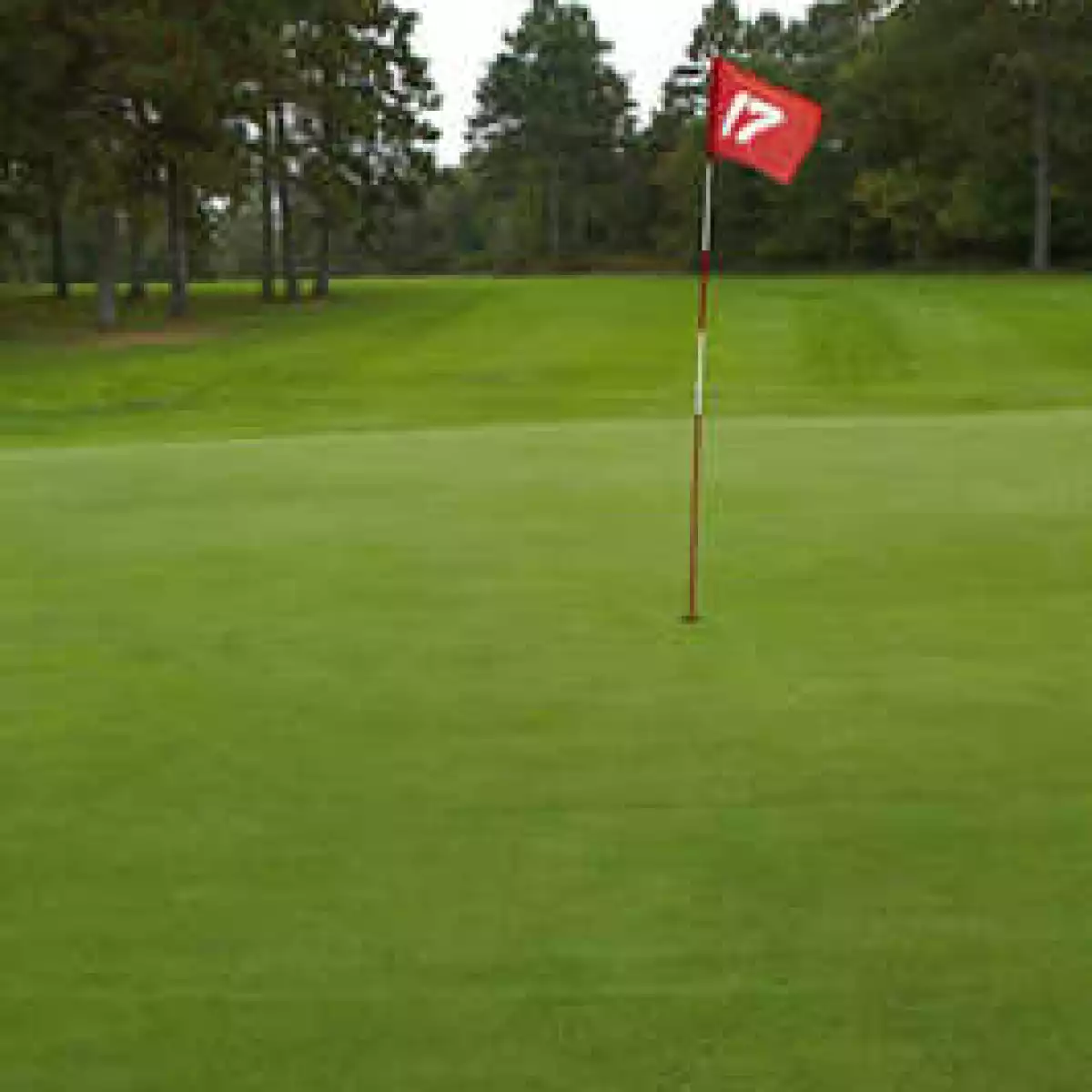 Fair Havens Golf Course in Menahga, Minnesota, USA GolfPass