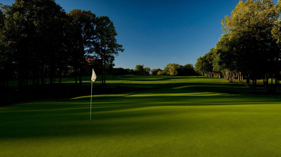 Pine Trace GC