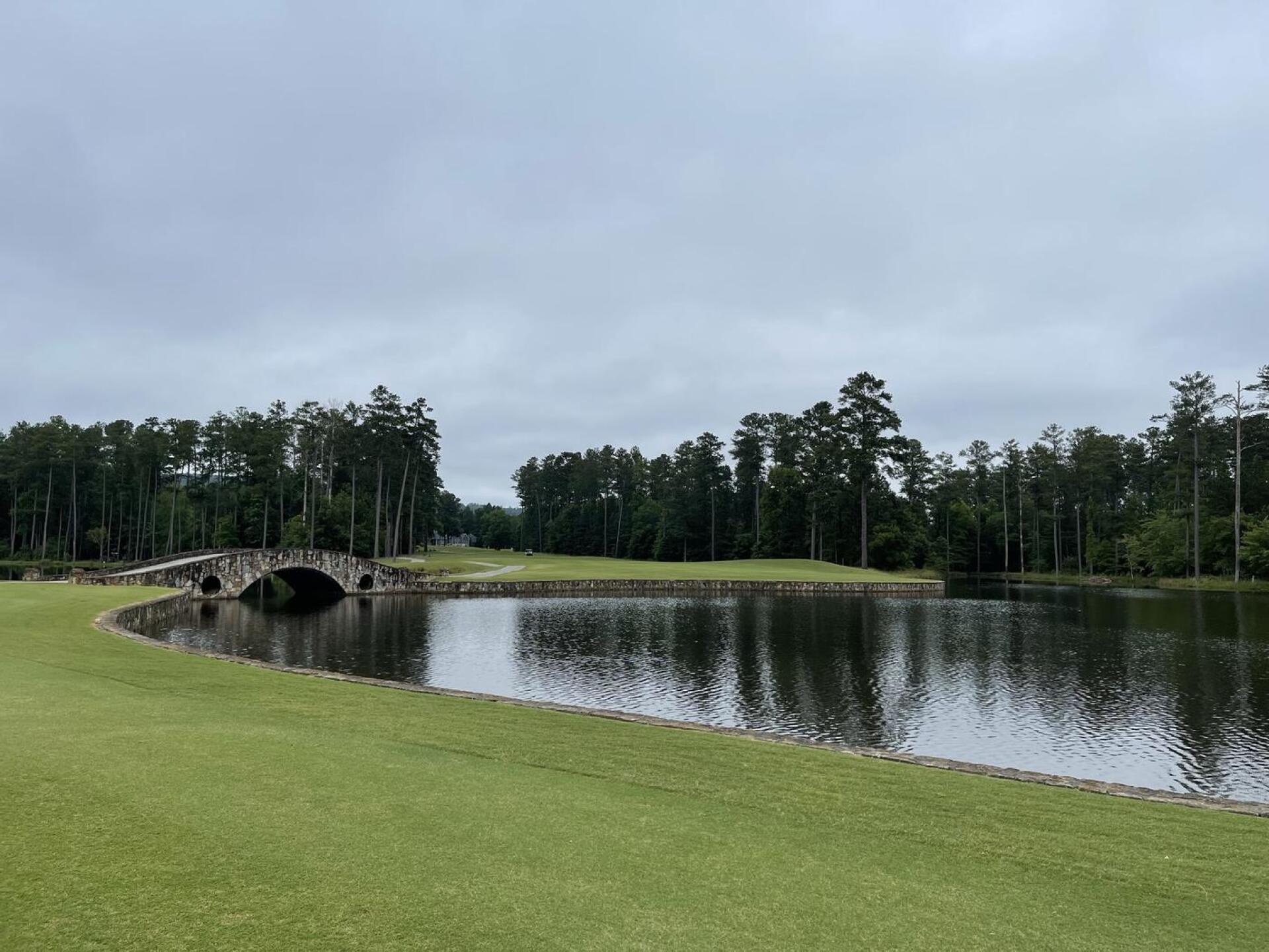Looking back toward the par 5 9th tee boxes (Photo submitted by Stephen8749565 on 07/01/2021)