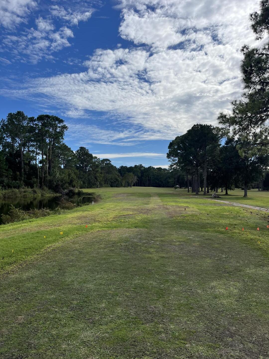 (Photo submitted by t1ouEmmw3eiq3eT4FOJm on 11/03/2025)