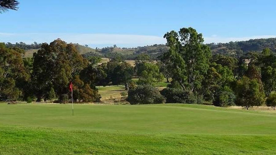 Belvoir Park GC: #11