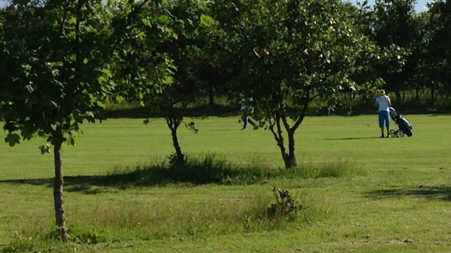 Hals GC