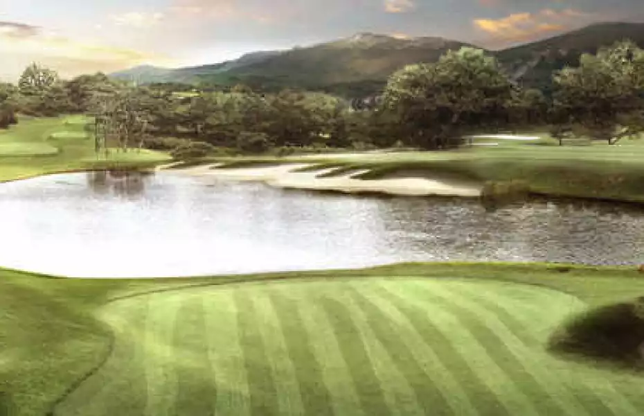 Ms Club Uiseong - Champion: #8