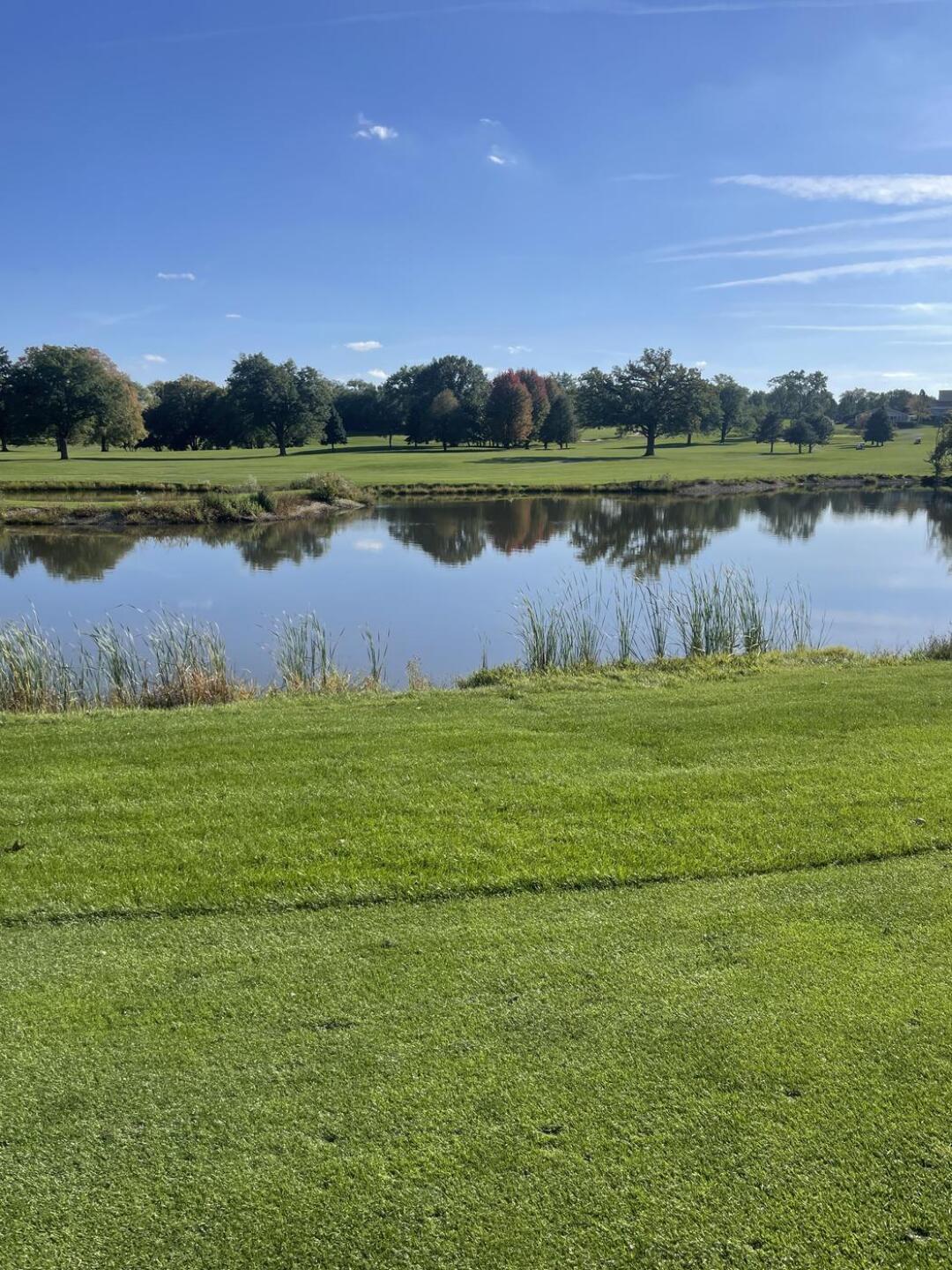 (Photo submitted by Carlos6121156 on 10/18/2023)