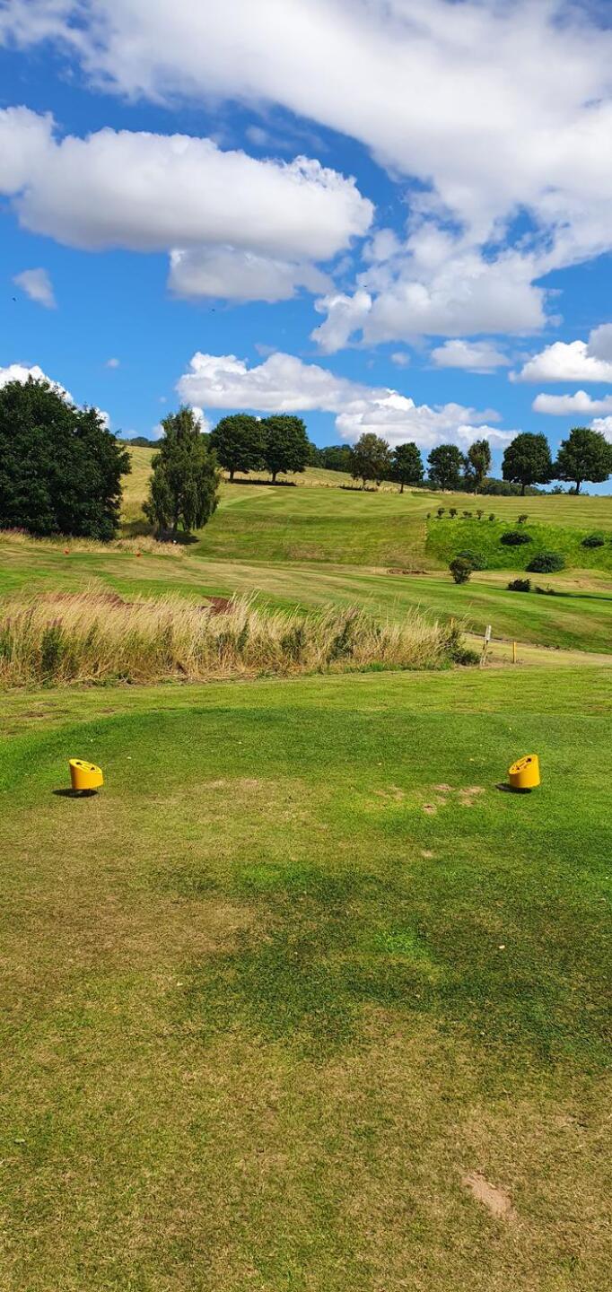 (Photo submitted by u314163203732 on 08/07/2022)