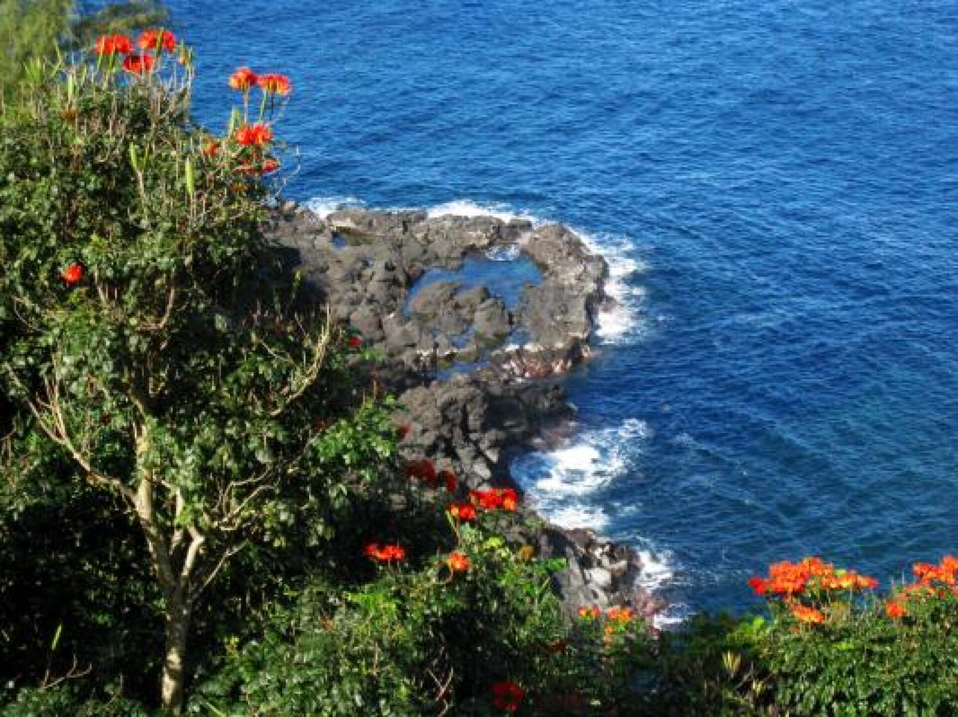 The bay adjacent to the Par 3 7th hole (Photo submitted by dmpetterson on 11/05/2012)