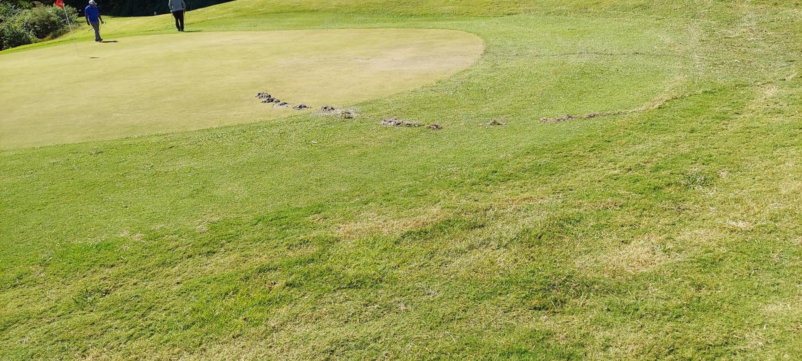 (Photo submitted by u621076289 on 10/07/2022)