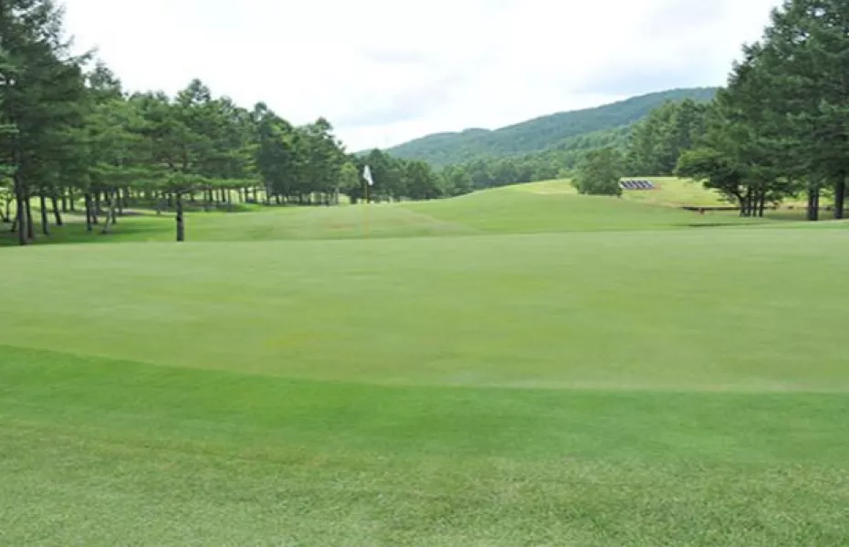 Chuodo Haregamine CC: #7