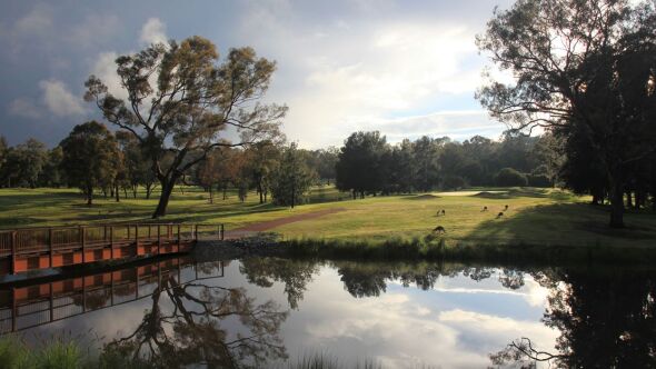 Federal GC