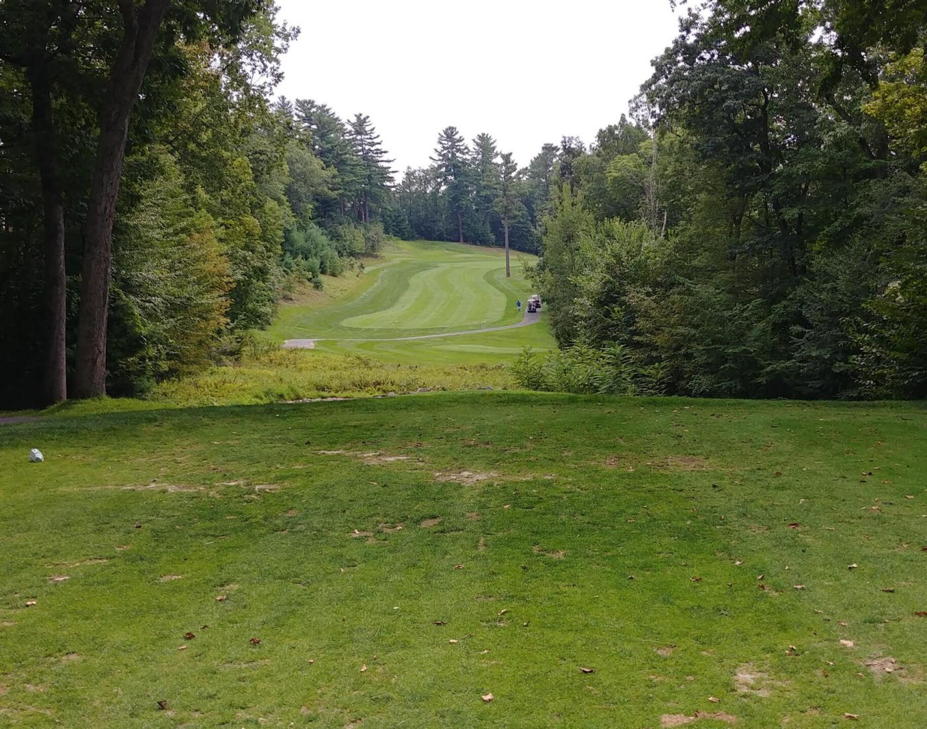 No 10 (Photo submitted by hschaefer1 on 08/28/2021)