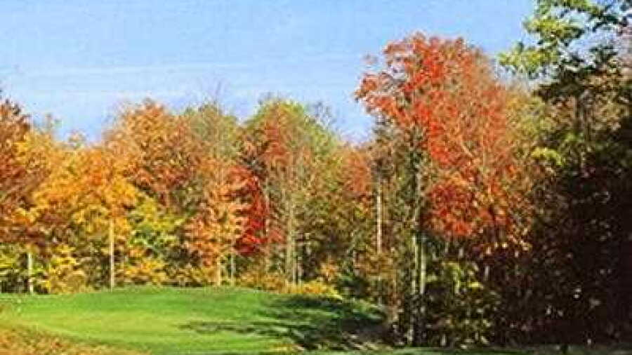 Ravines GC