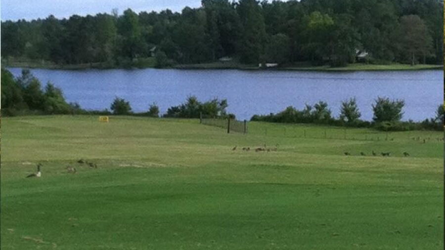 Pine Creek GC