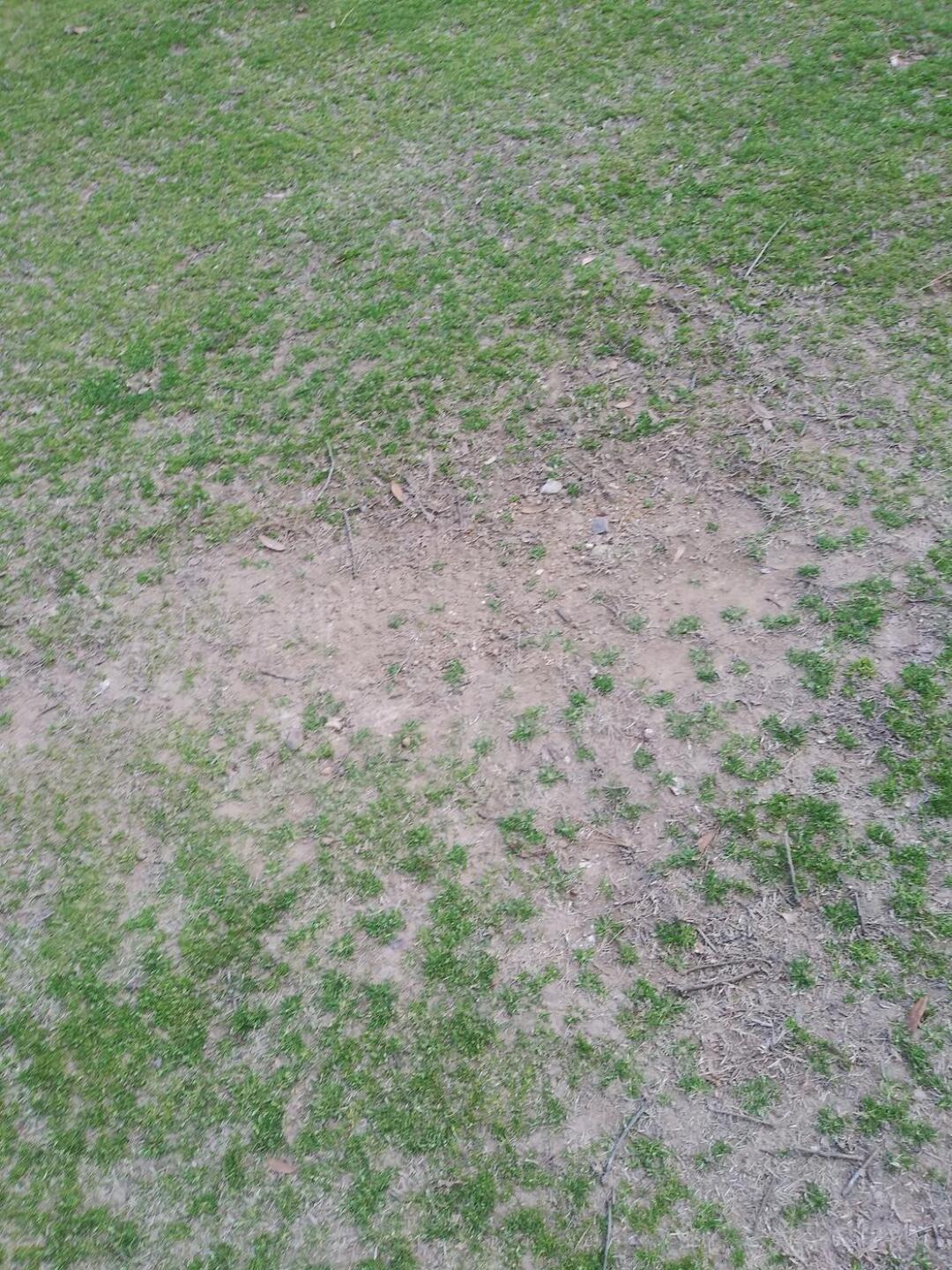 this is middle of a fairway (Photo submitted by rico9288 on 03/05/2024)
