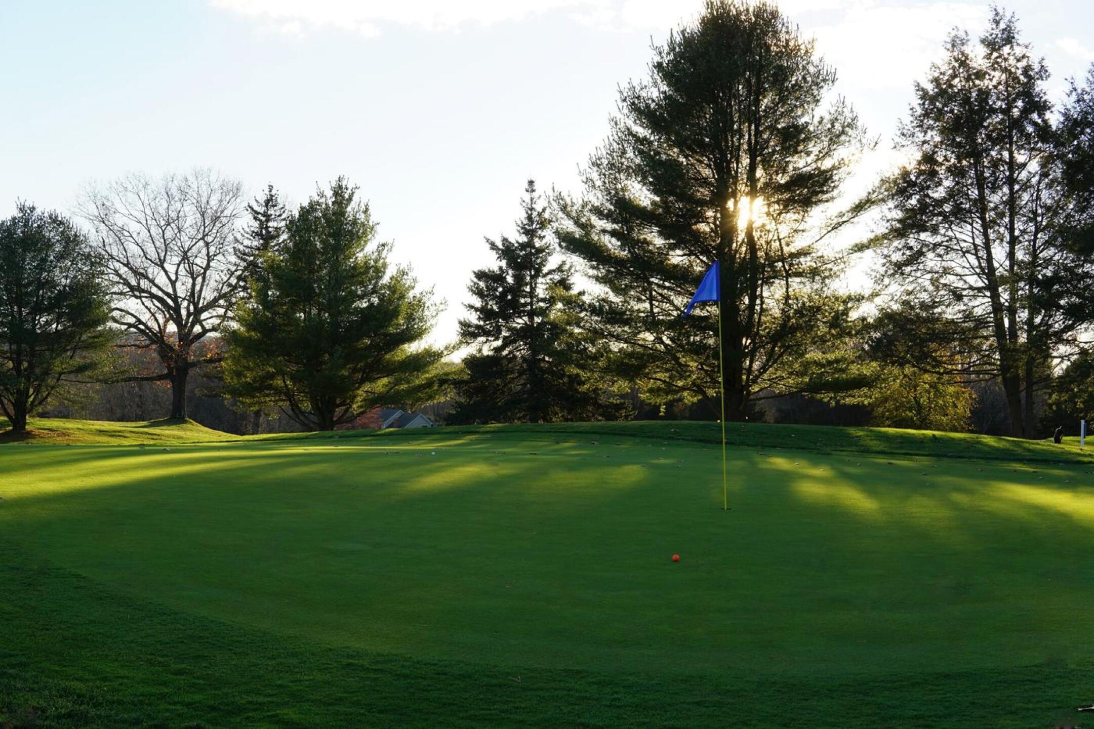 Green nine, where my neon-orange golf ball has come to rest. (Photo submitted by AptlyLinked on 11/13/2022)
