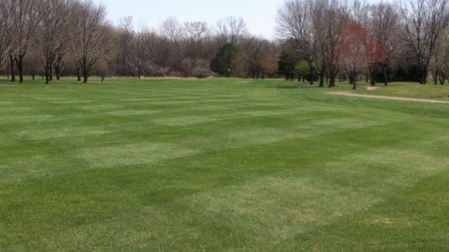 Fox Run GC: #11