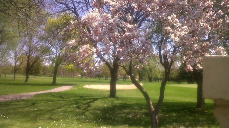Royal Oak GC