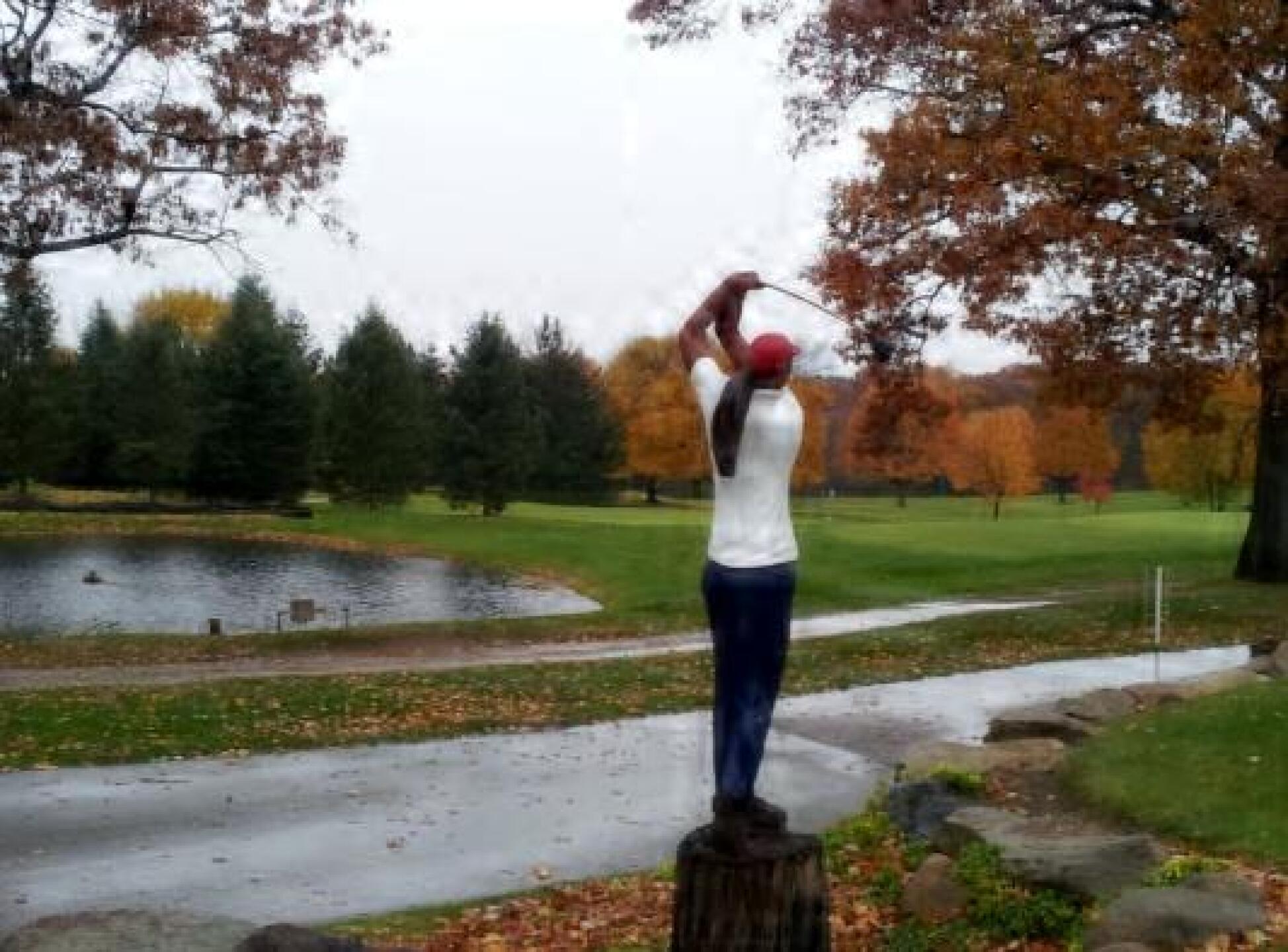 (Photo submitted by ReneNorton on 11/08/2013)