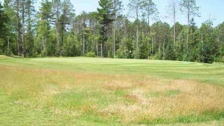 Chequamegon Bay GC: #3