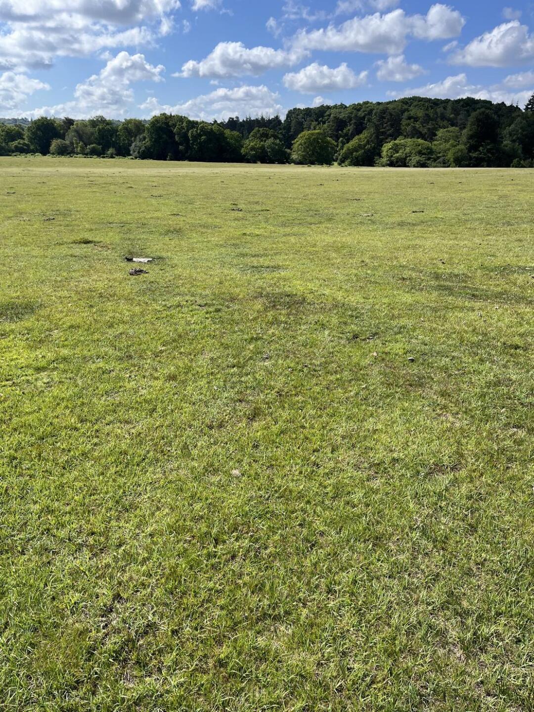 (Photo submitted by t2132624622 on 06/23/2024)