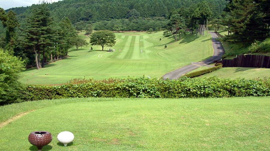 Village East Karuizawa GC: #5