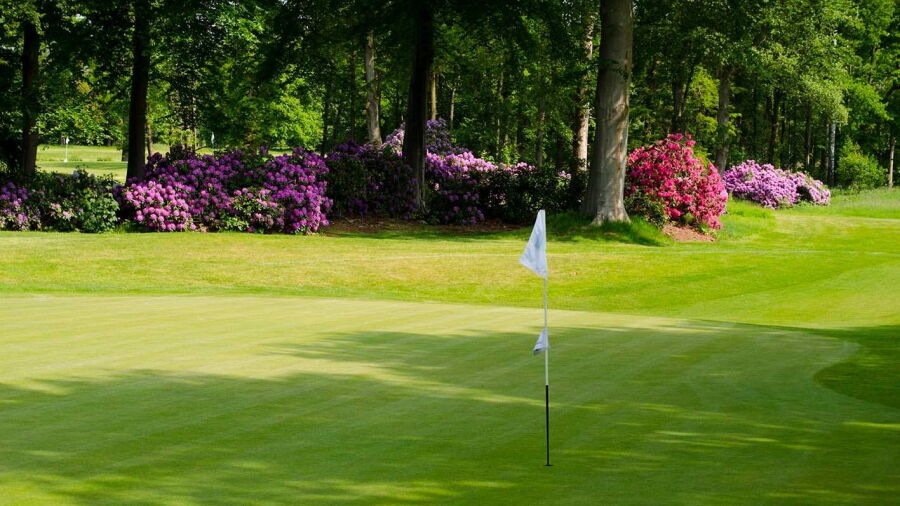 Noord Nederlandse GCC