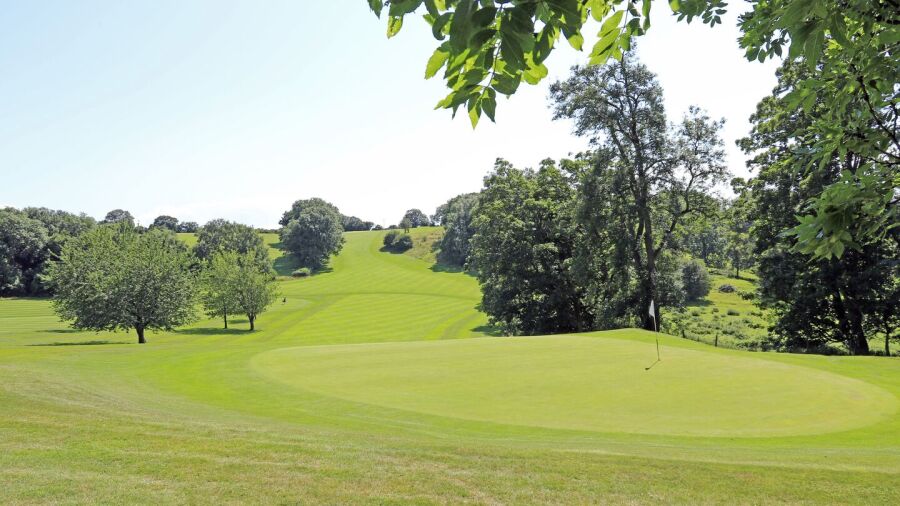Dinas Powis GC: #11