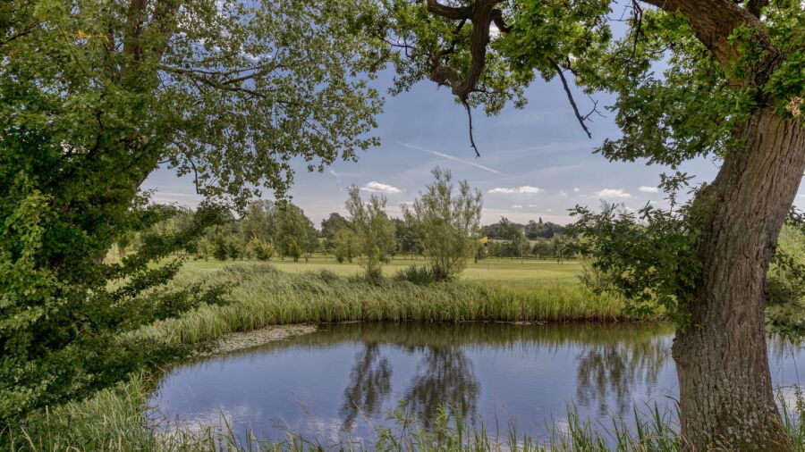 Ardencote Golf