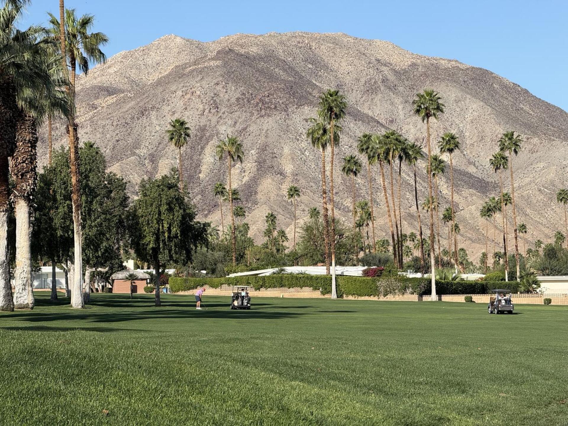 (Photo submitted by jdyson8 on 03/01/2026)