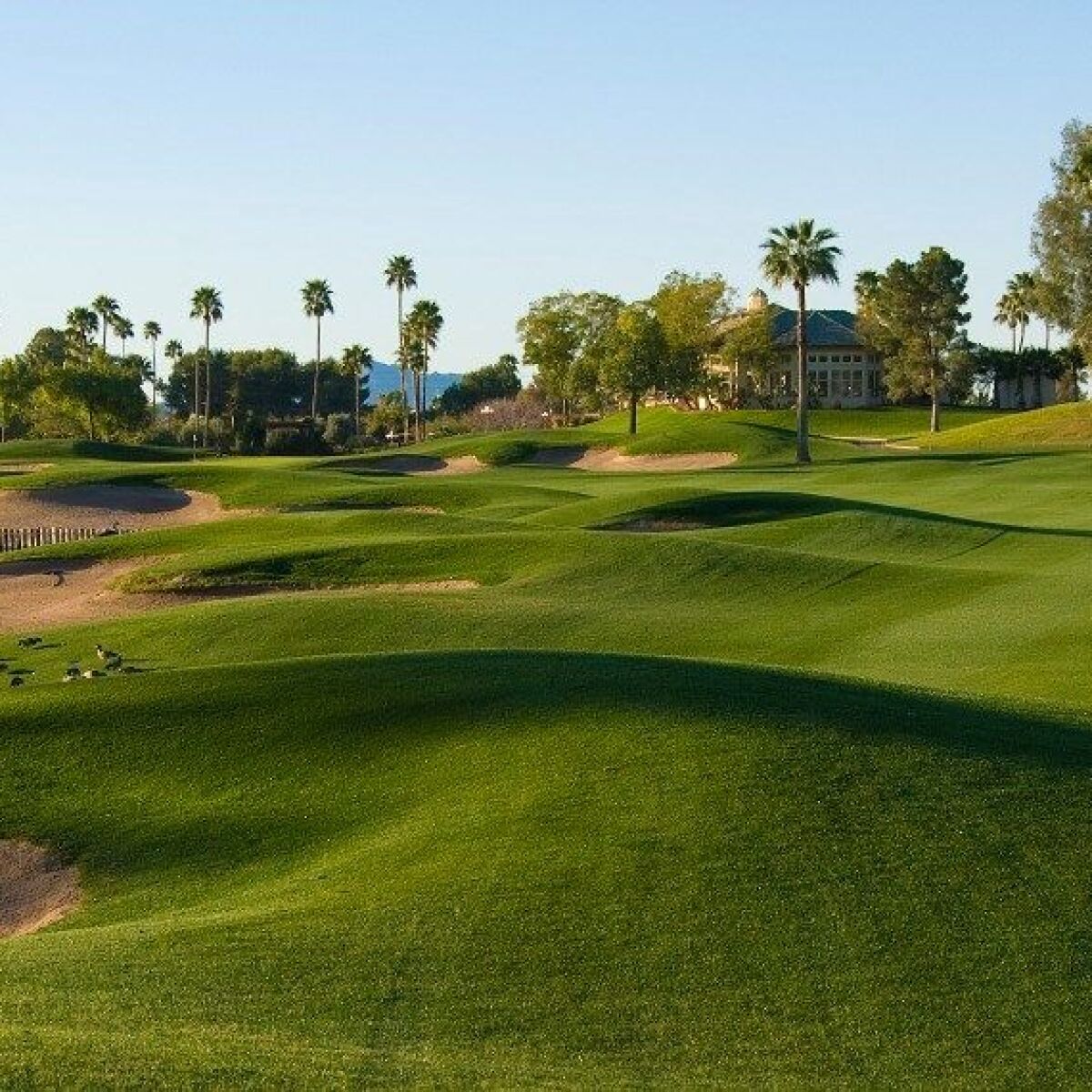 Superstition Springs Golf Club in Mesa, Arizona, USA GolfPass