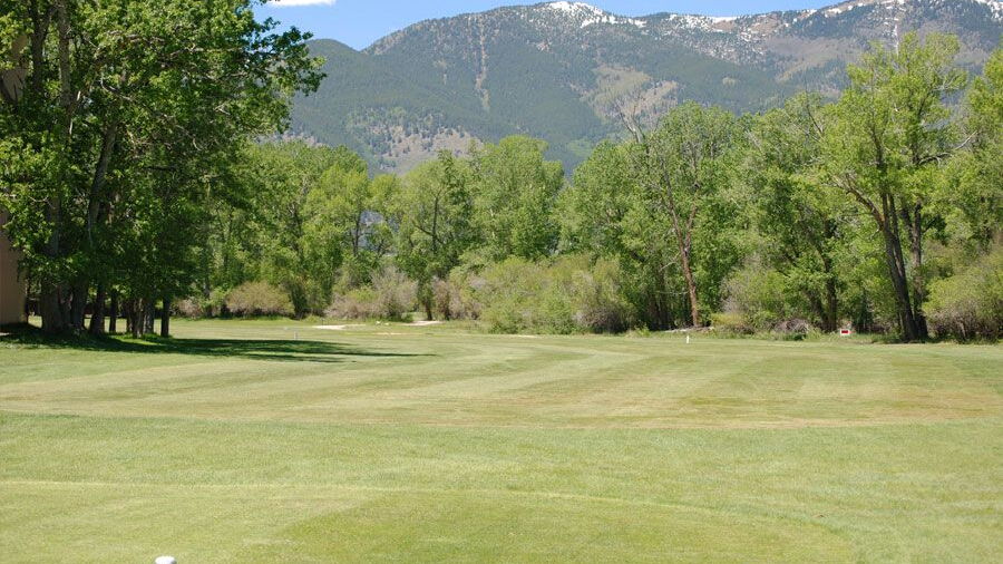 Collegiate Peaks GC: #1