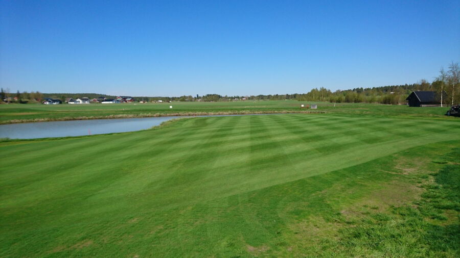 Lulea GC - Ermine: #7