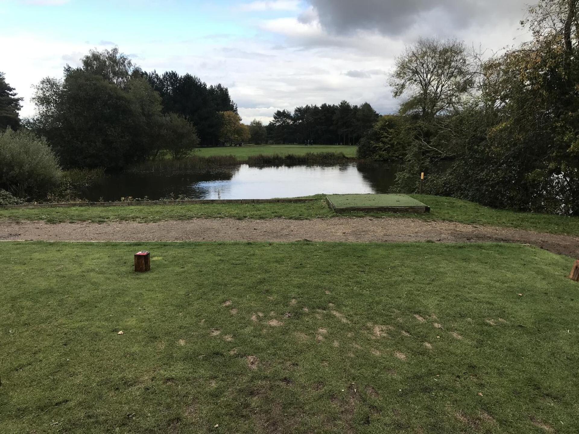 (Photo submitted by t1731232465 on 10/17/2020)