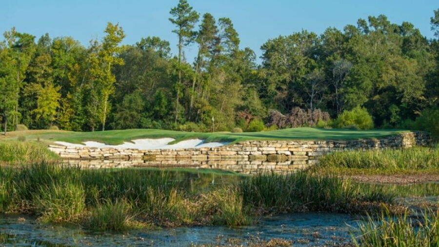 Whispering Pines GC - The Needler: #2