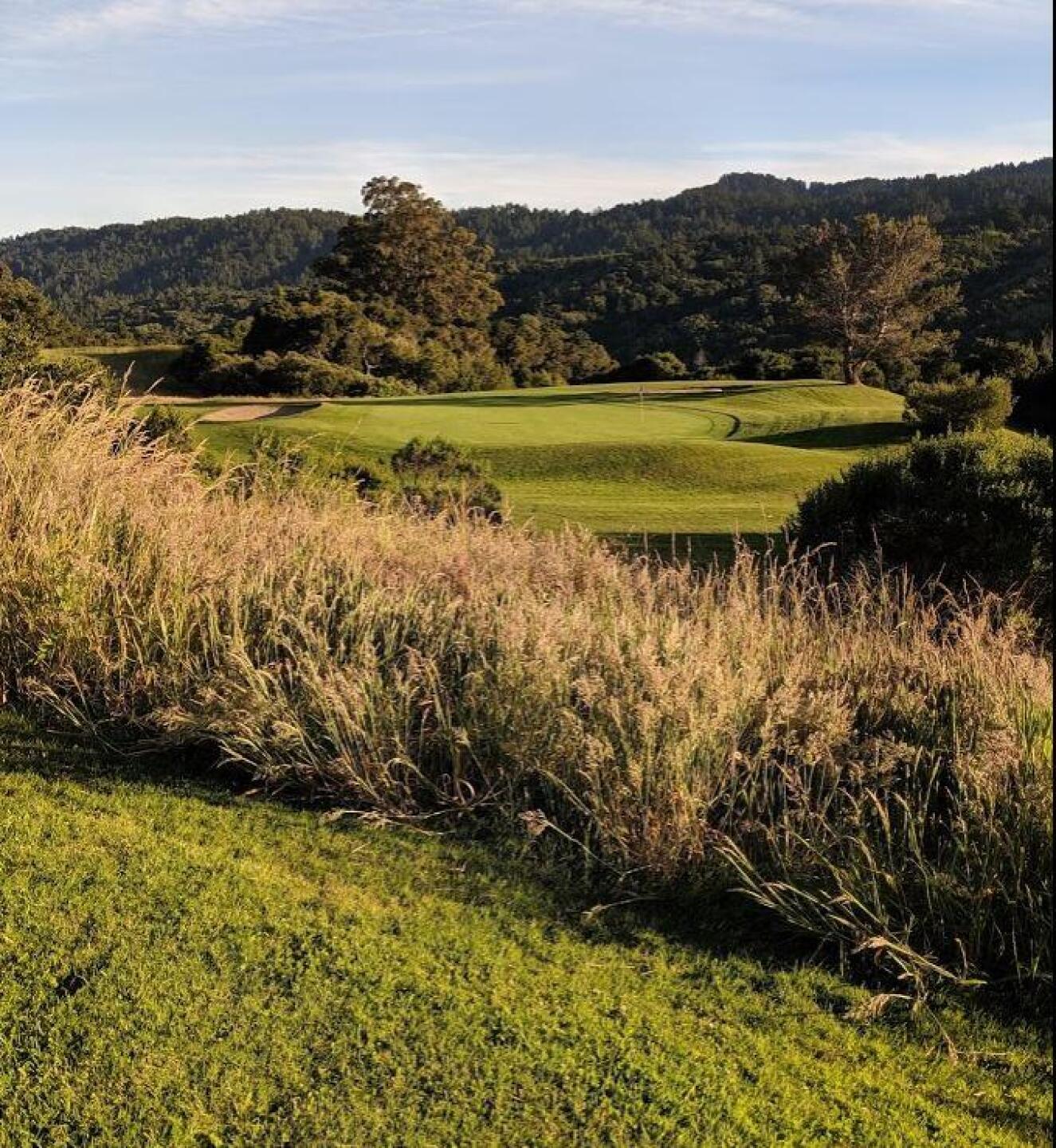 (Photo submitted by sorenj on 07/12/2019)