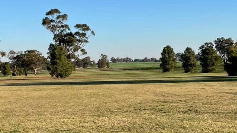Grong Grong GC: #1