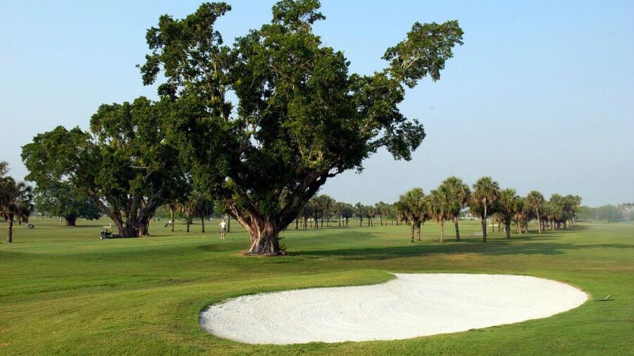Palmetto GC