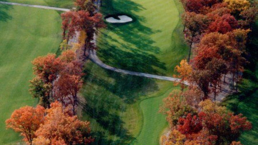 Red Tail GC: #13